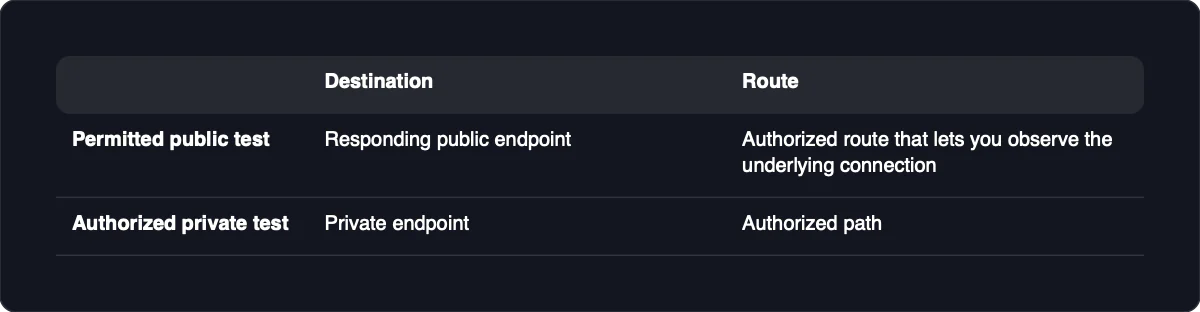Permitted public test: Destination: Responding public endpoint; Route: Authorized route that lets you observe the underlying connection. Authorized private test: Destination: Private endpoint; Route: Authorized path